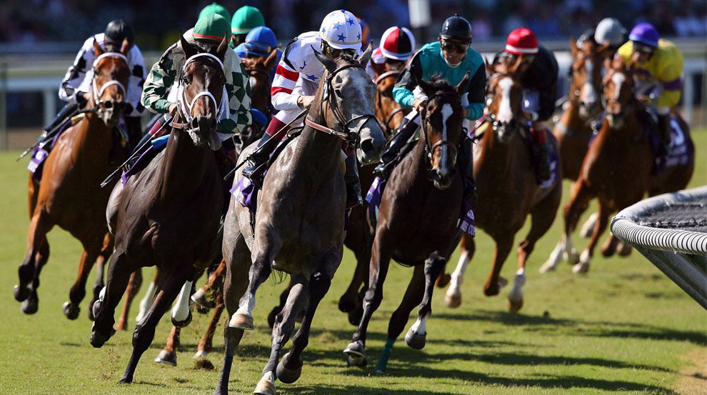 На российский рынок собирается выйти новый экзотичный букмекер Poolbet