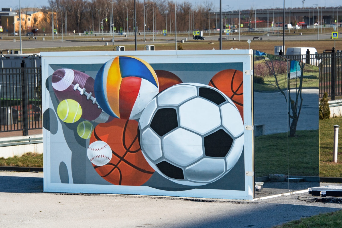 В спортпарке стадиона «Калининград» реализуется проект публичного искусства