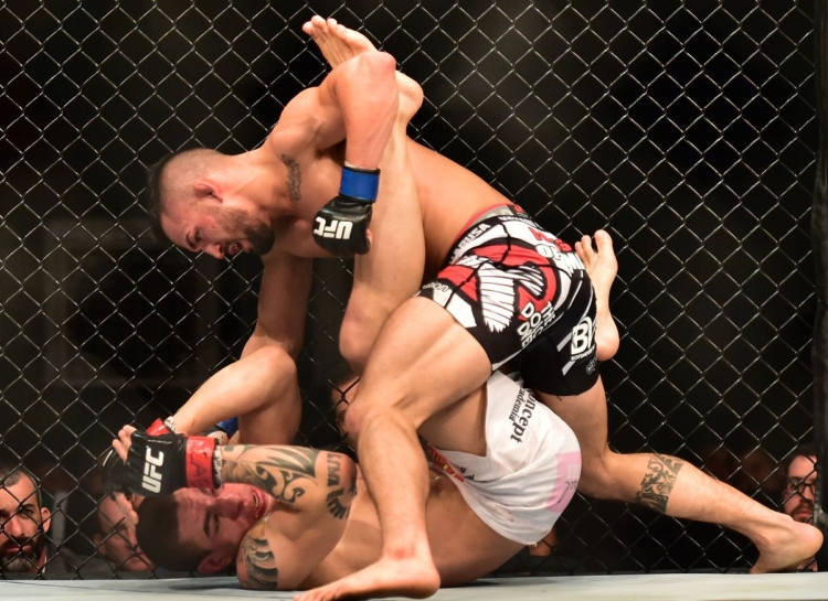 Владелец UFC разместит свои акции на бирже