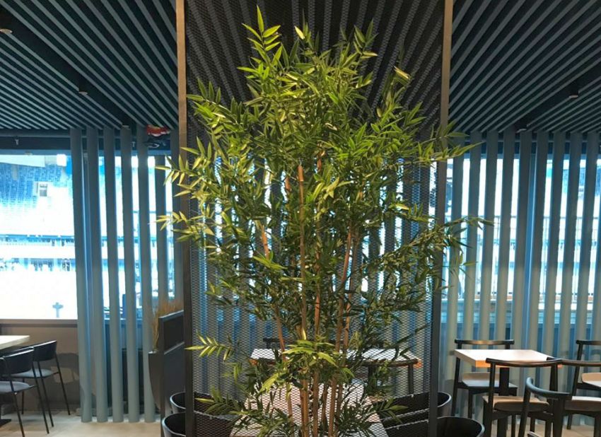 Все цветы чемпионата мира. Как оживить любую арену