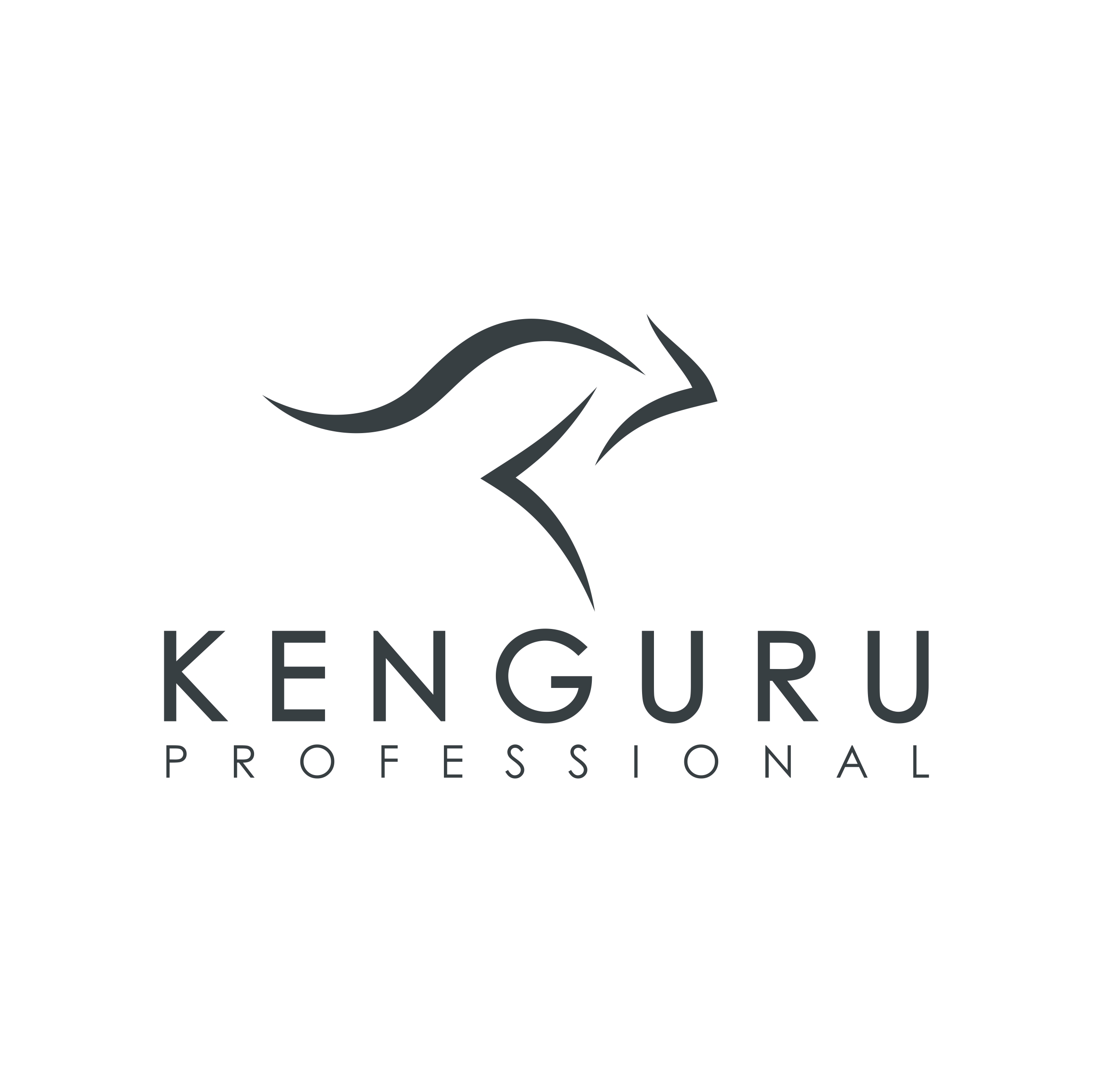 КЕНГУРУ ПРО