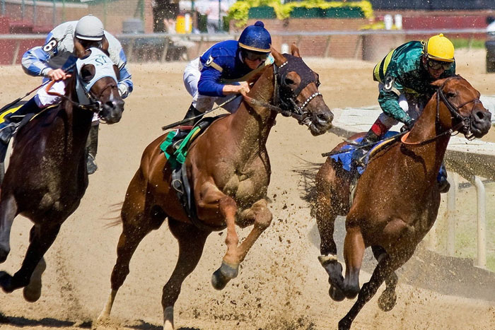 Госдума одобрила законопроект, разрешающий рекламу тотализаторов