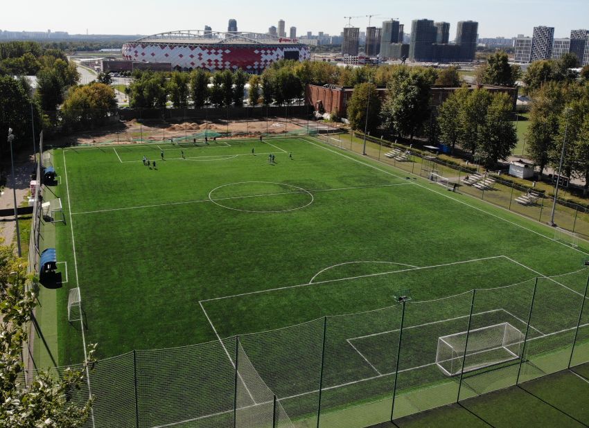 Секреты вечнозеленых полей