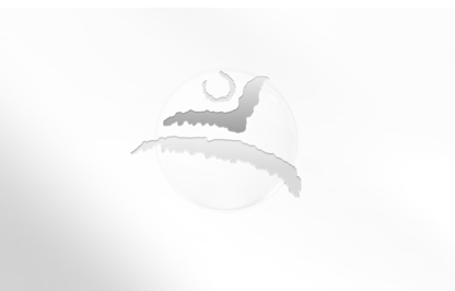 Беговая дорожка и сектор центрального стадиона