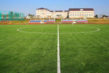 Стадион на территории «Техникум отраслевых технологий - реабилитационный комплекс»