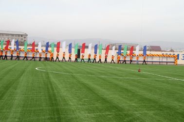 Искусственное футбольное поле