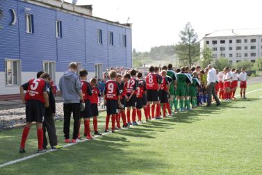 Футбольное поле с искусственным покрытием, пос.Ягодное