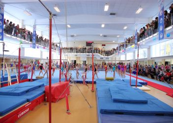 СДЮСШОР по спортивной гимнастике им. Ю.Э.Штукмана